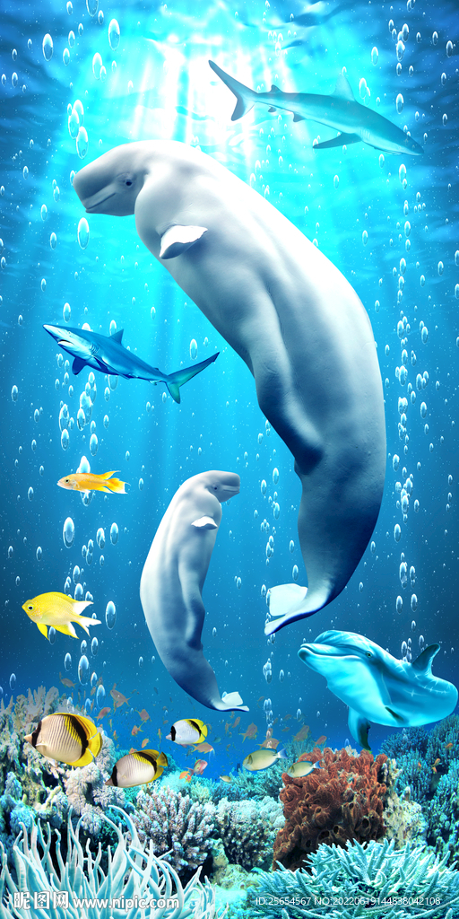 海底世界海豚玄关