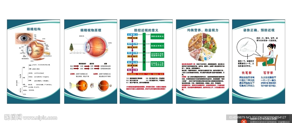 眼科挂图