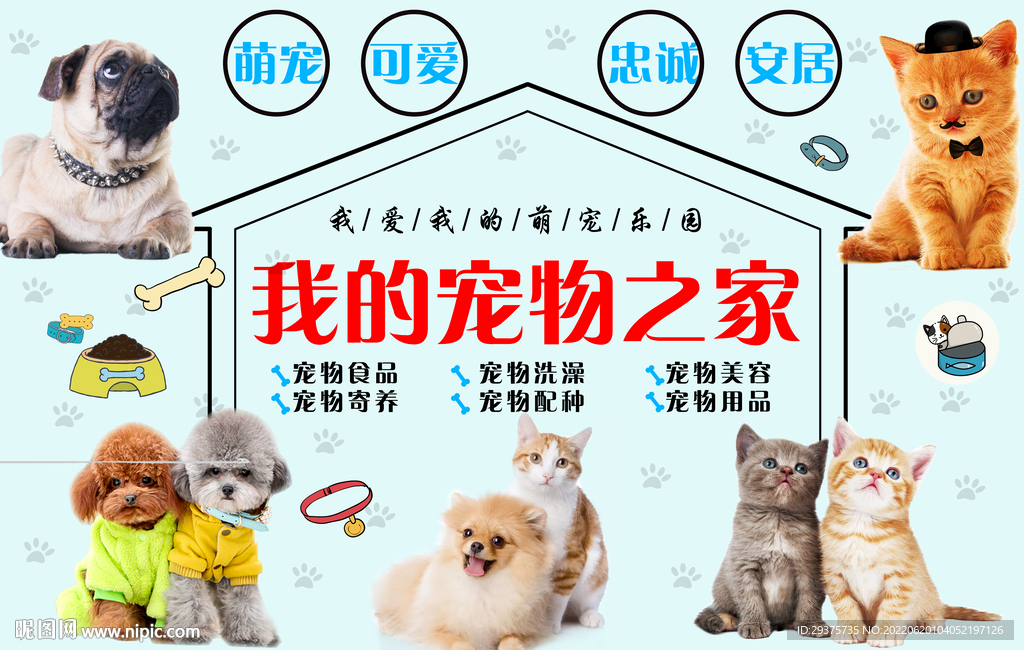宠物店背景墙