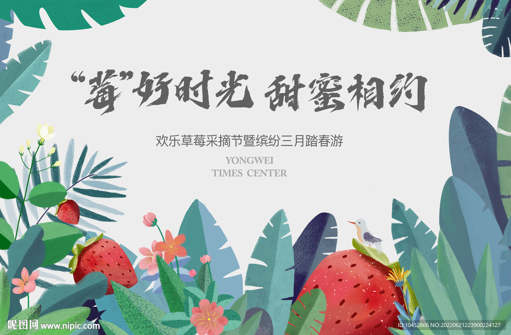 草莓采摘