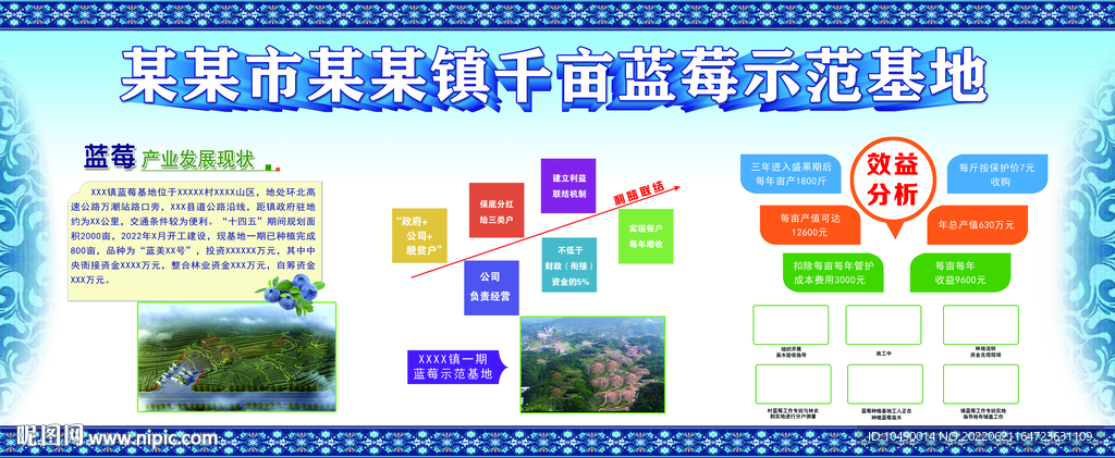 千亩蓝莓示范基地