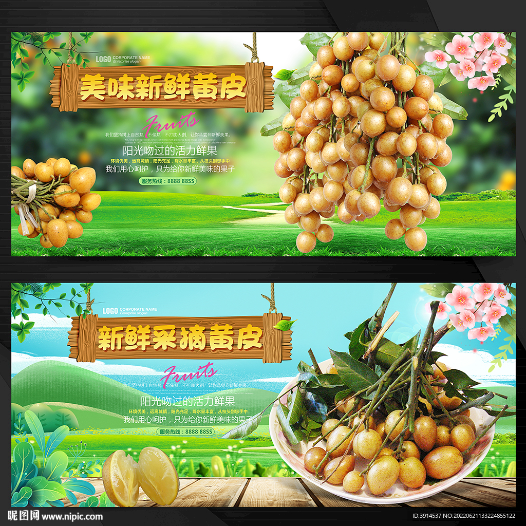 黄皮