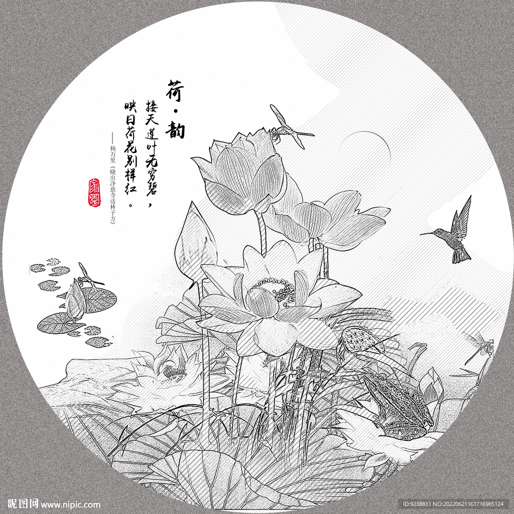 荷花素描