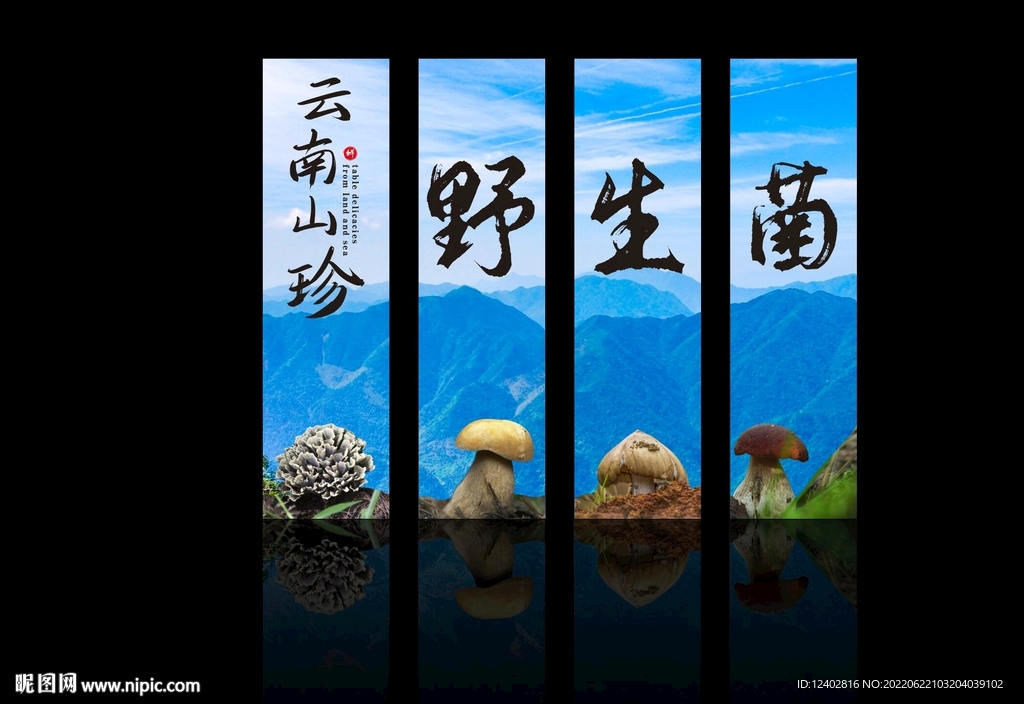野生菌