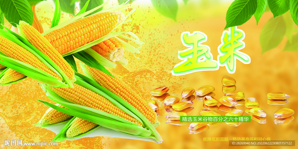 玉米