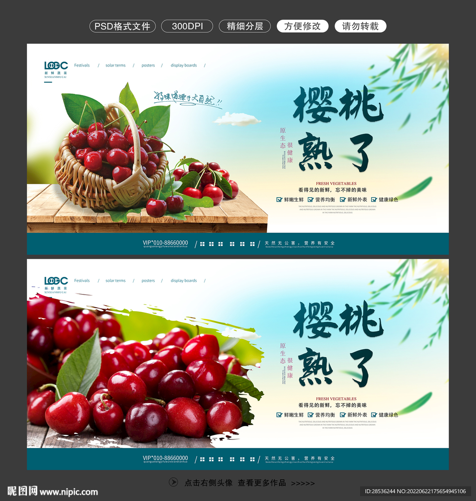 樱桃图片