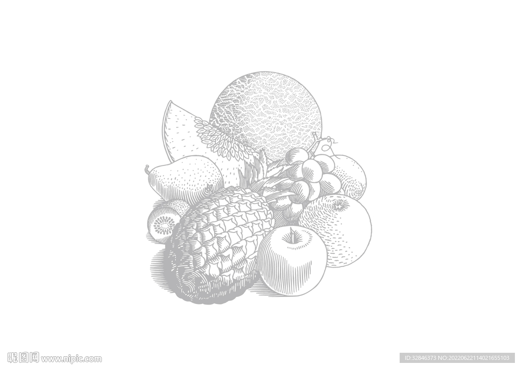 水果插画