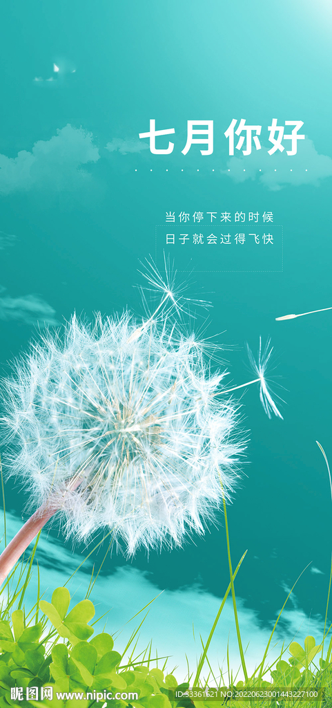 七月你好海