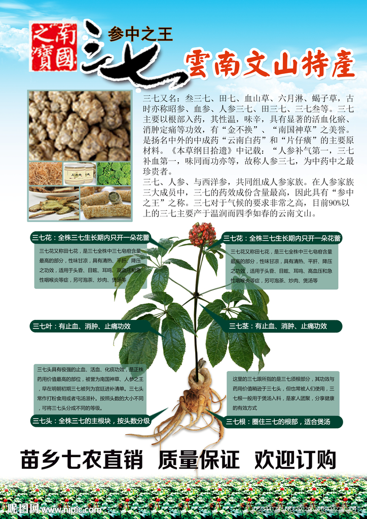 三七海报