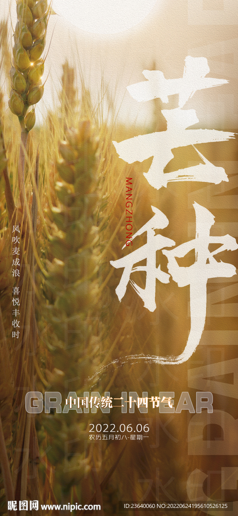 芒种节气海报