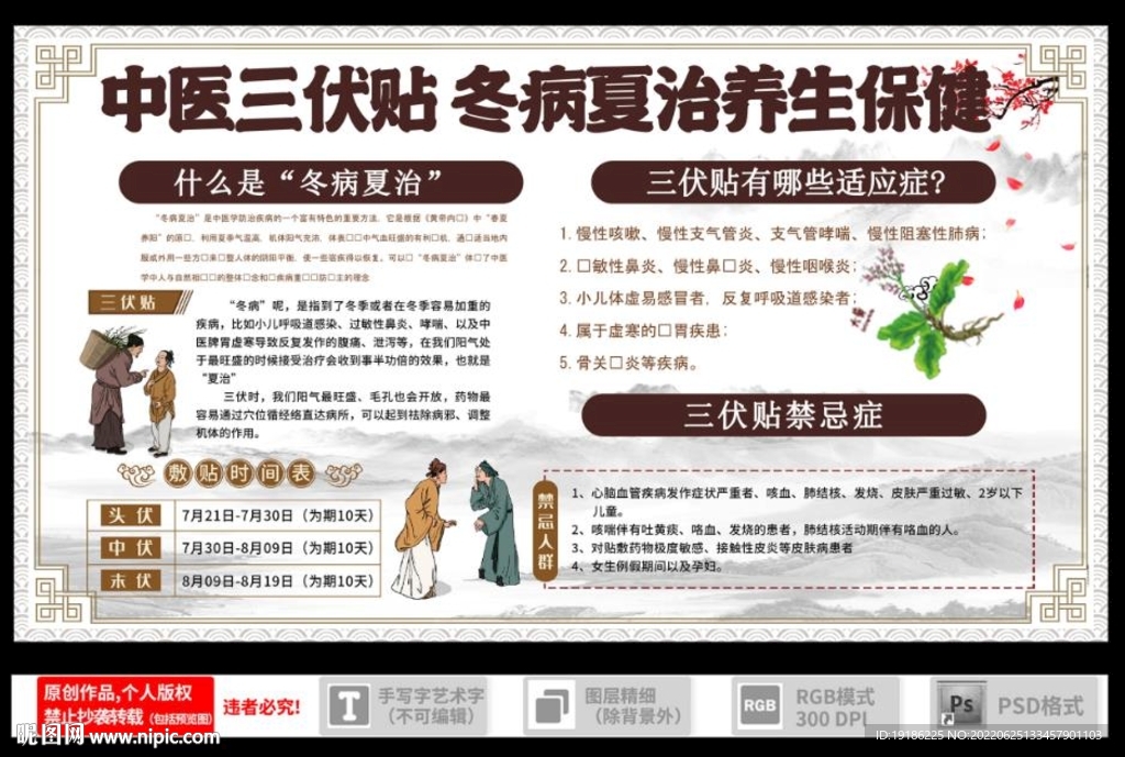 三伏贴 