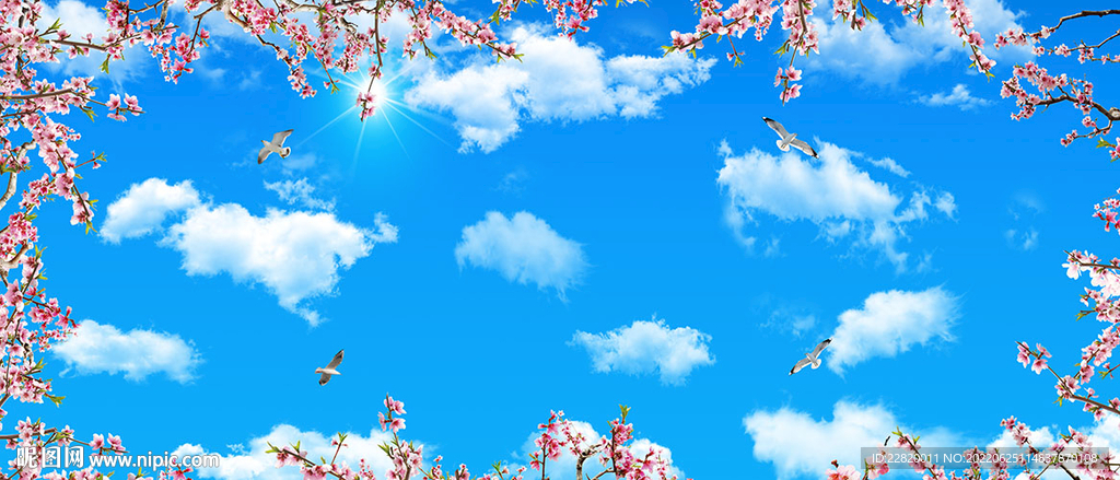 蓝天白云樱花