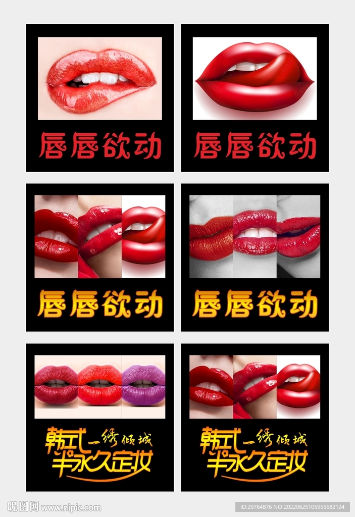 纹唇挂图