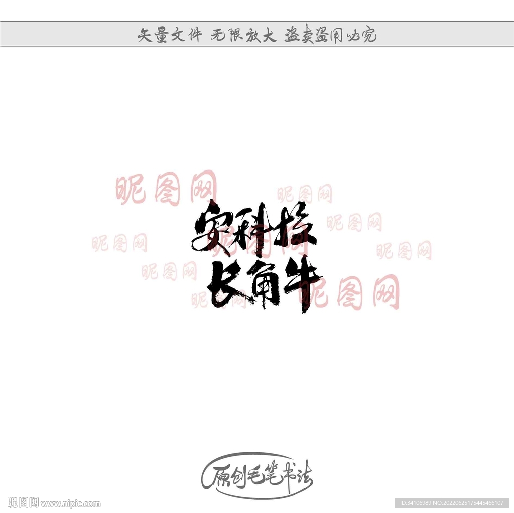 安科拉长角牛