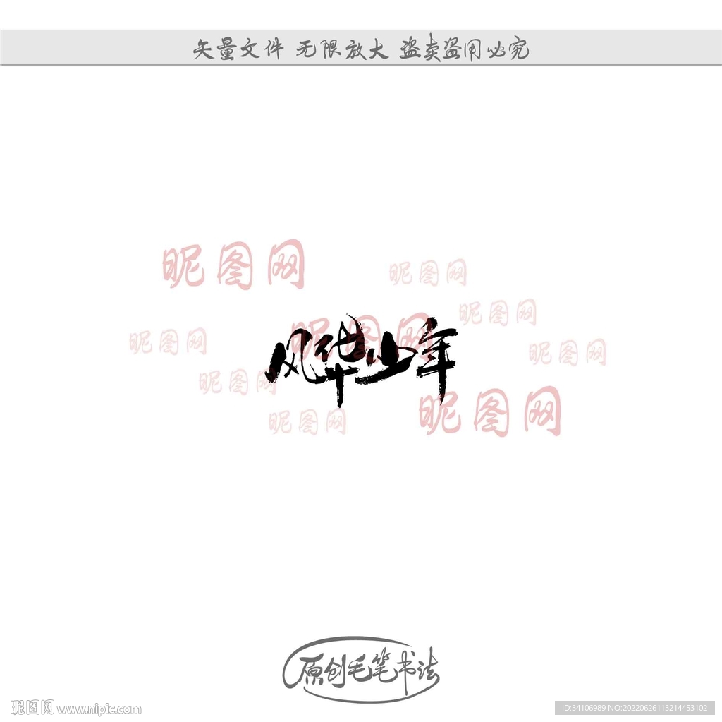 风华少年