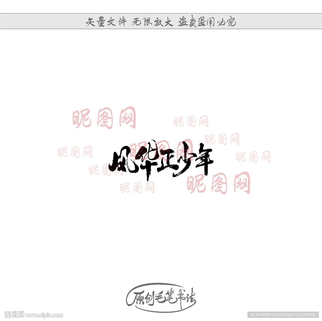 风华正少年