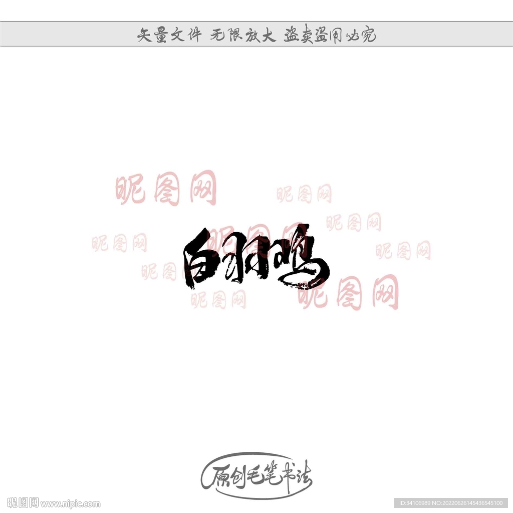白羽鸡