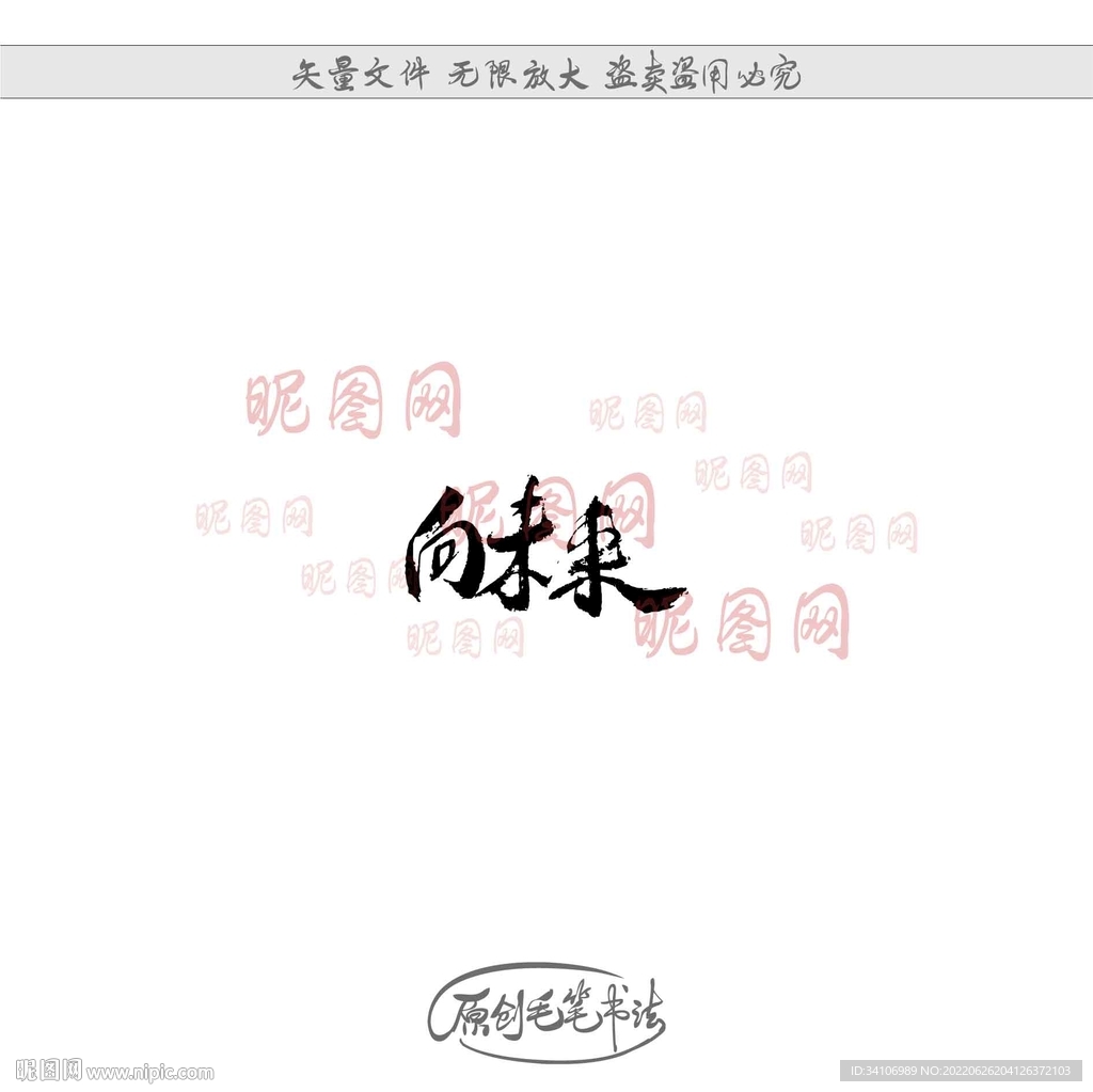 向未来