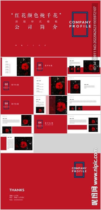 红色简介计划总结PPT模板