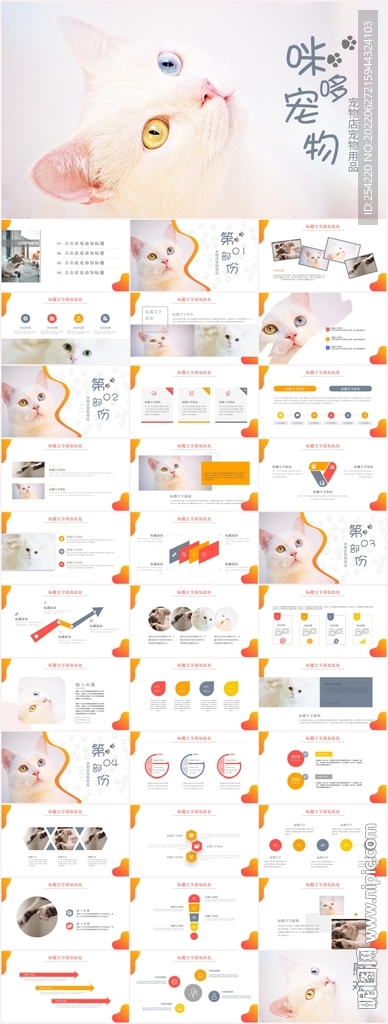 萌宠猫咪保护动物宠物店ppt