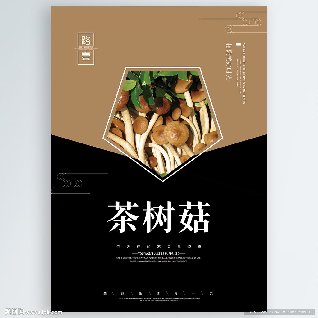 茶树菇