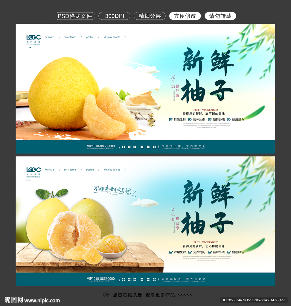 柚子图片