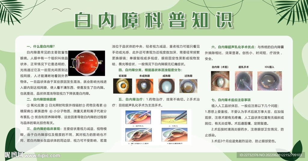 白内障科普知识