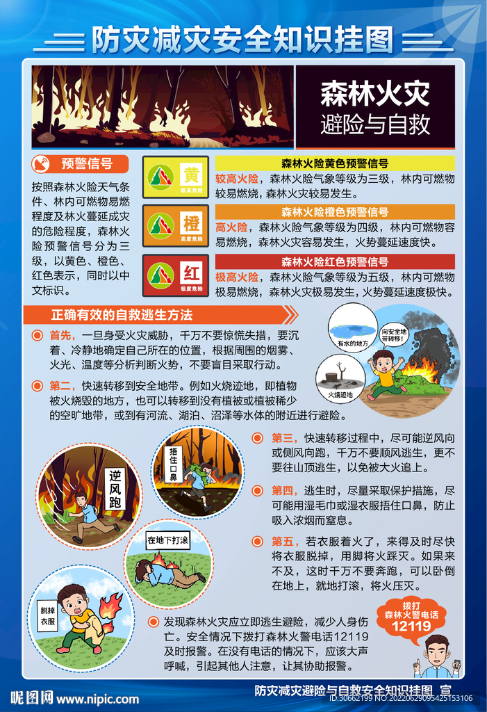 防灾减灾森林火灾挂图