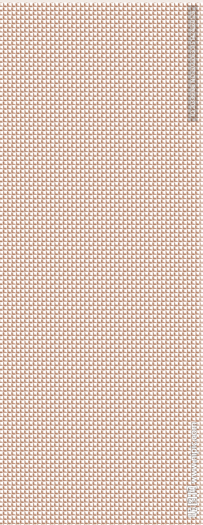 皮纹