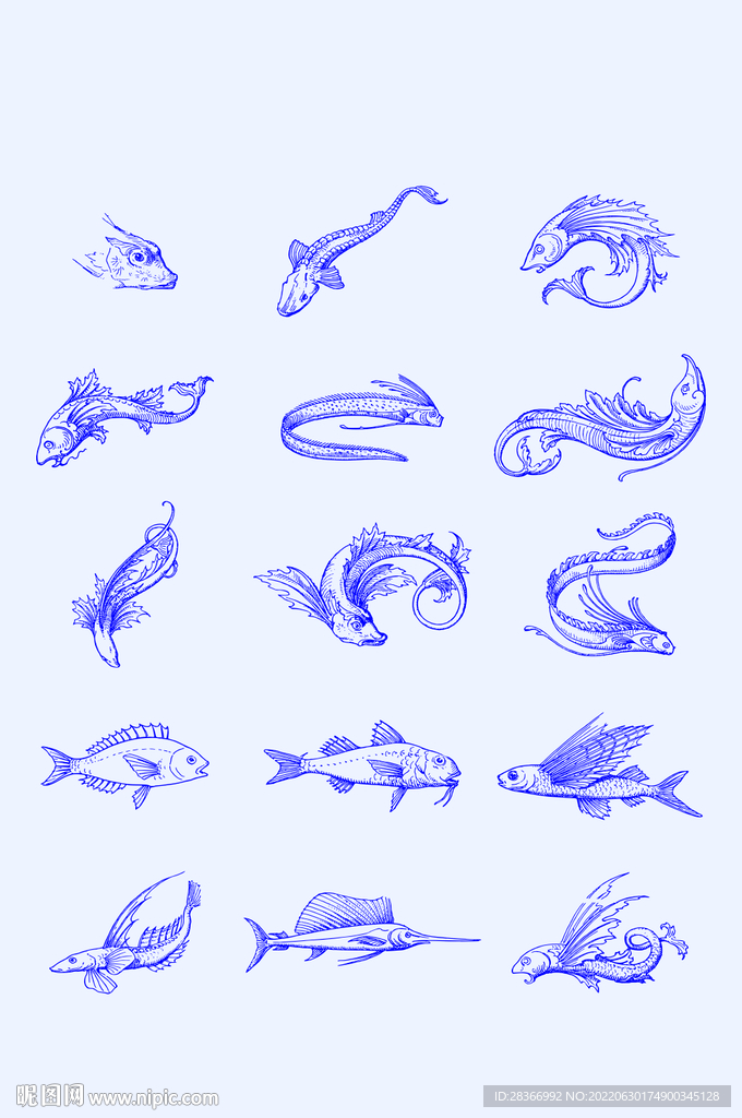 矢量海洋鱼类