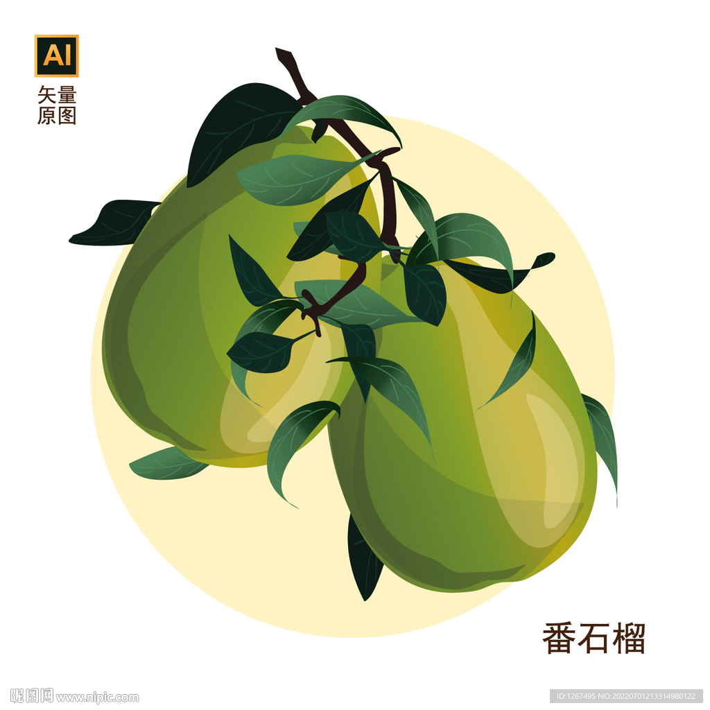 手绘番石榴
