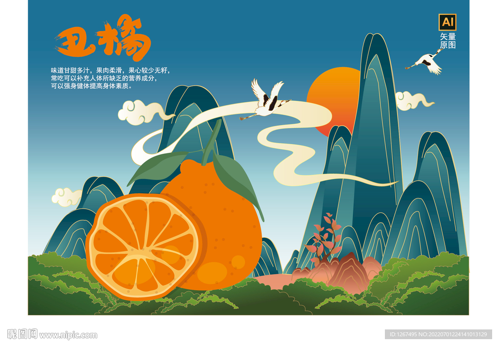 手绘丑橘