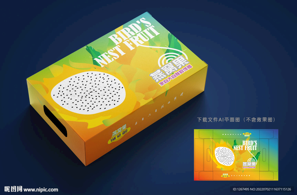 燕窝果包装 