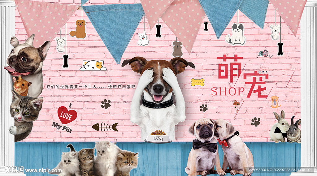 宠物店背景墙