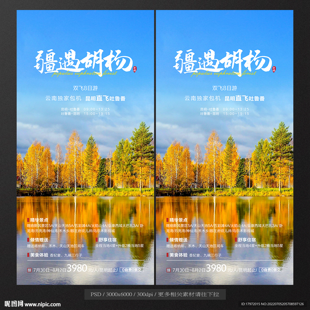 胡杨林