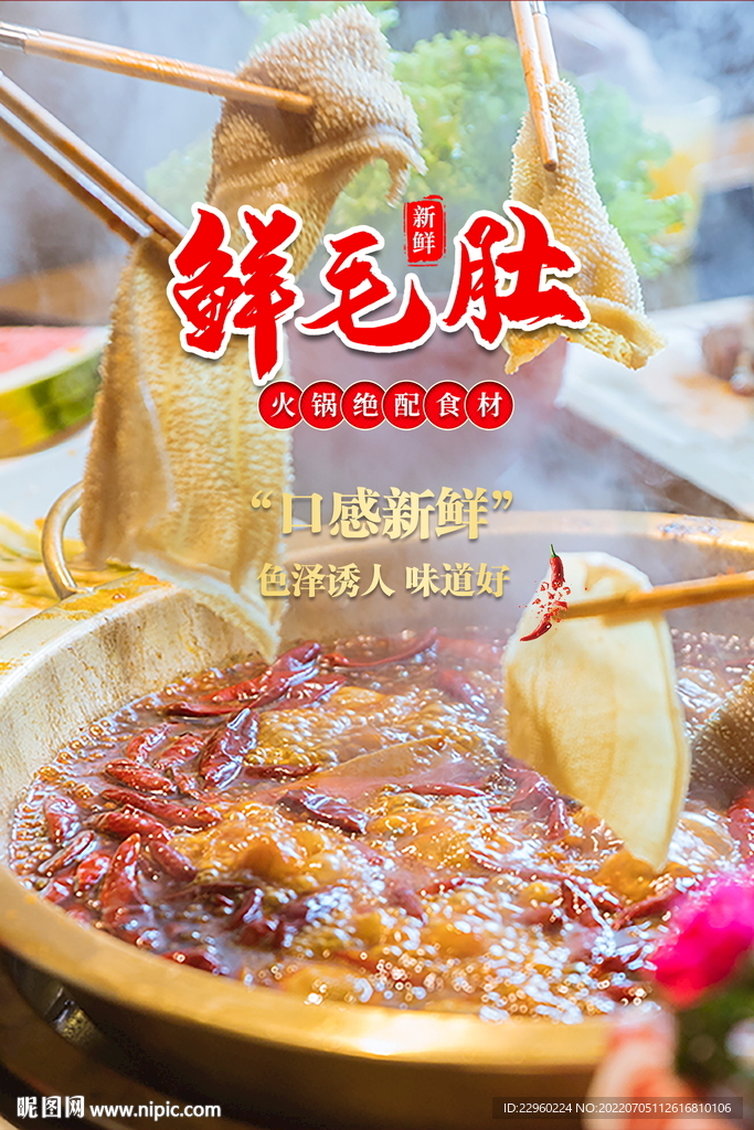 鲜毛肚