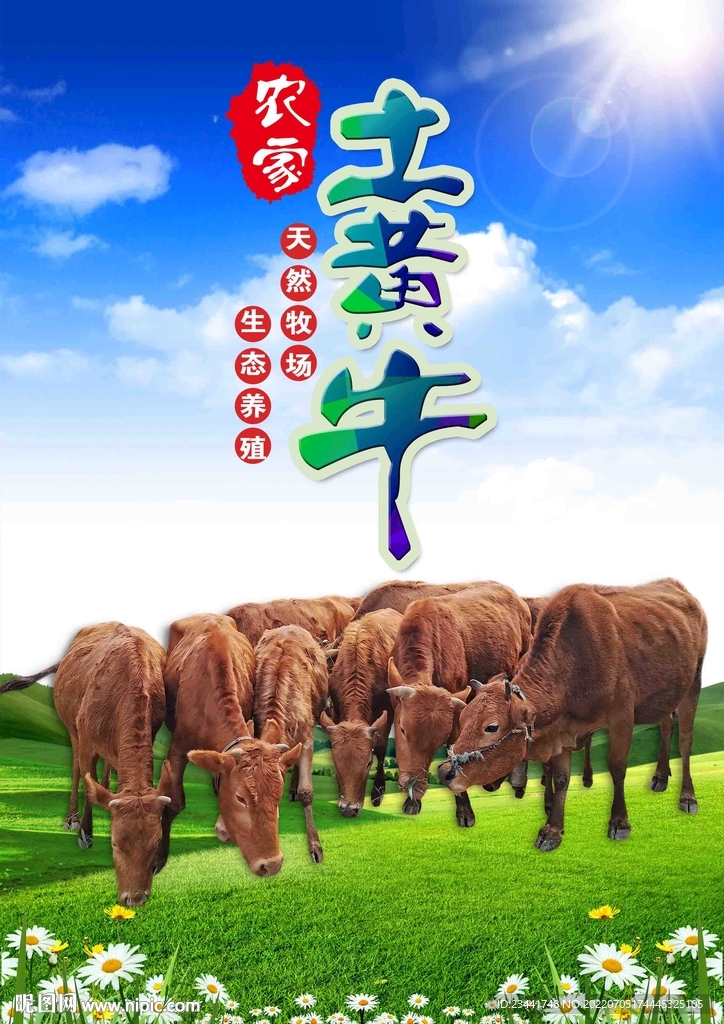 土黄牛