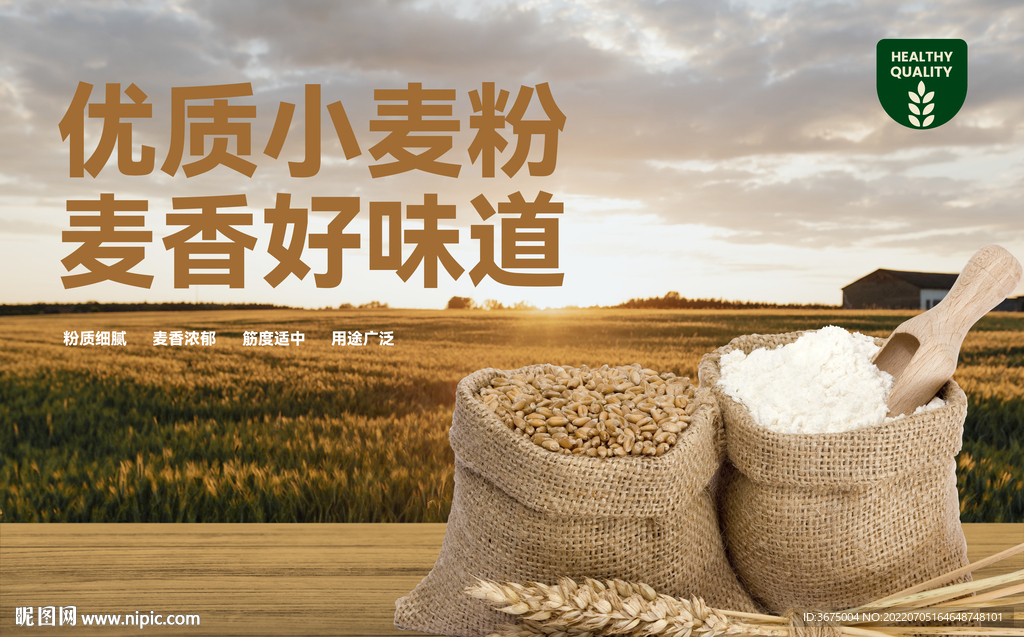 面粉小麦粉推广广告kv