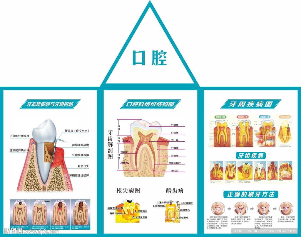 口腔三角牌