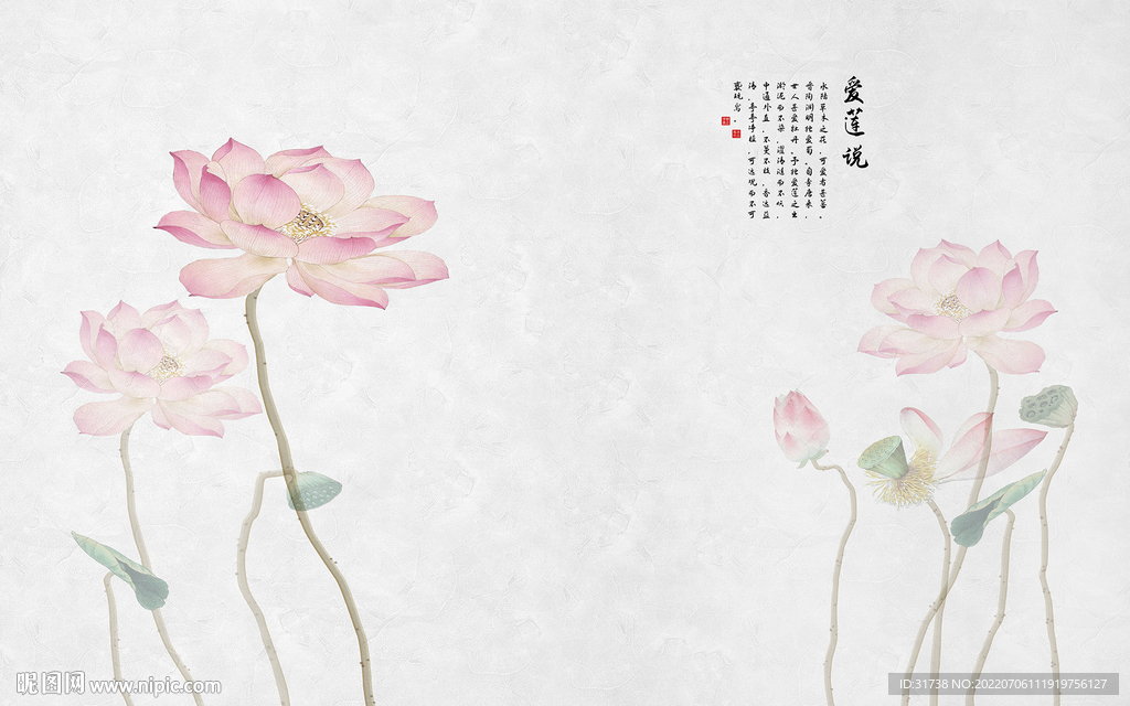 荷花背景墙