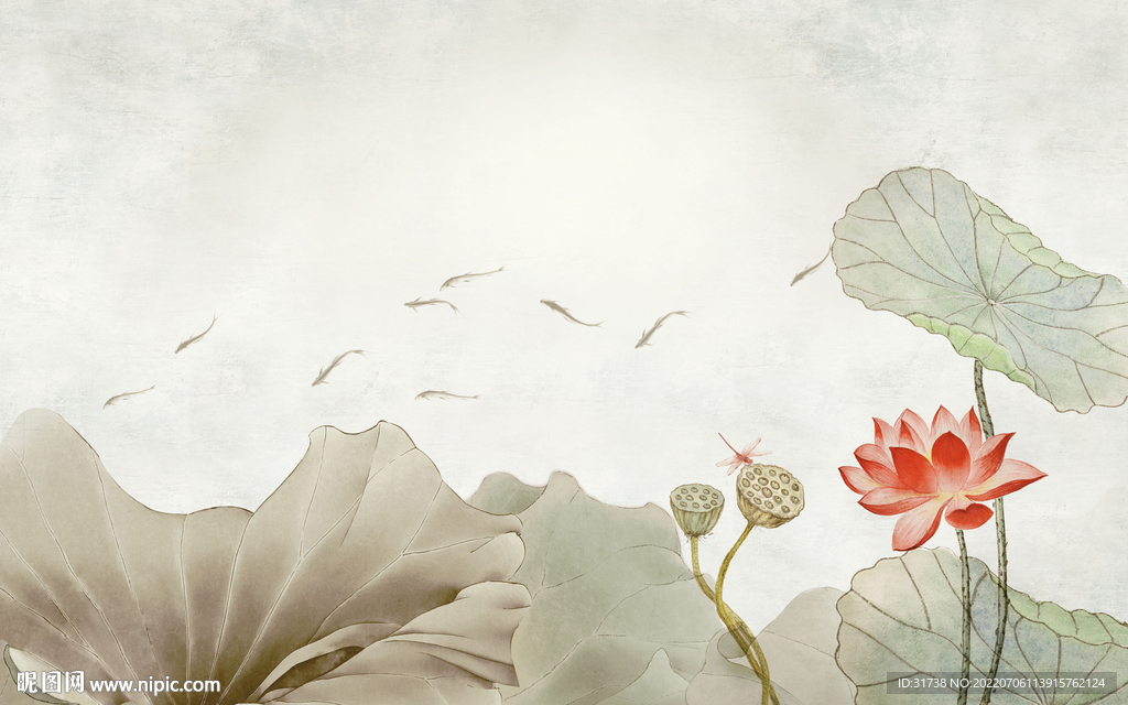 荷花背景墙