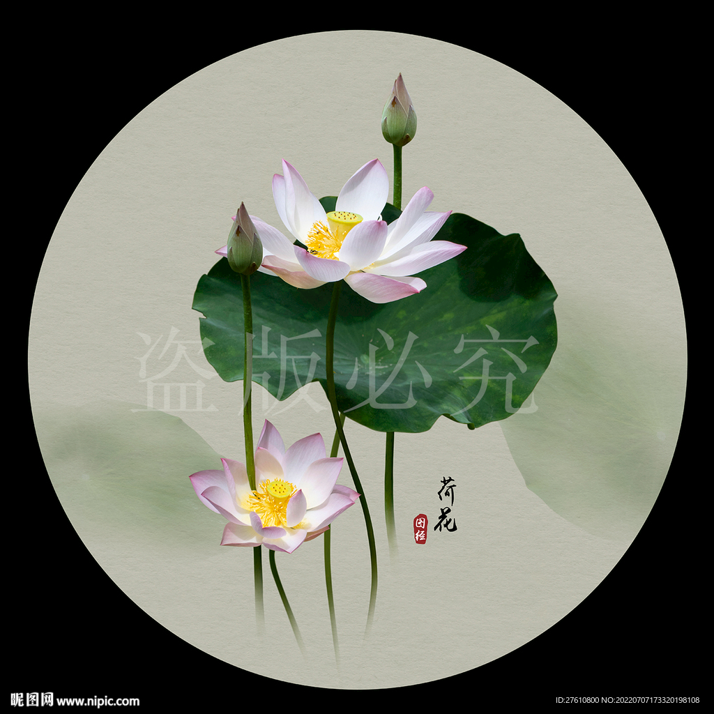 荷花