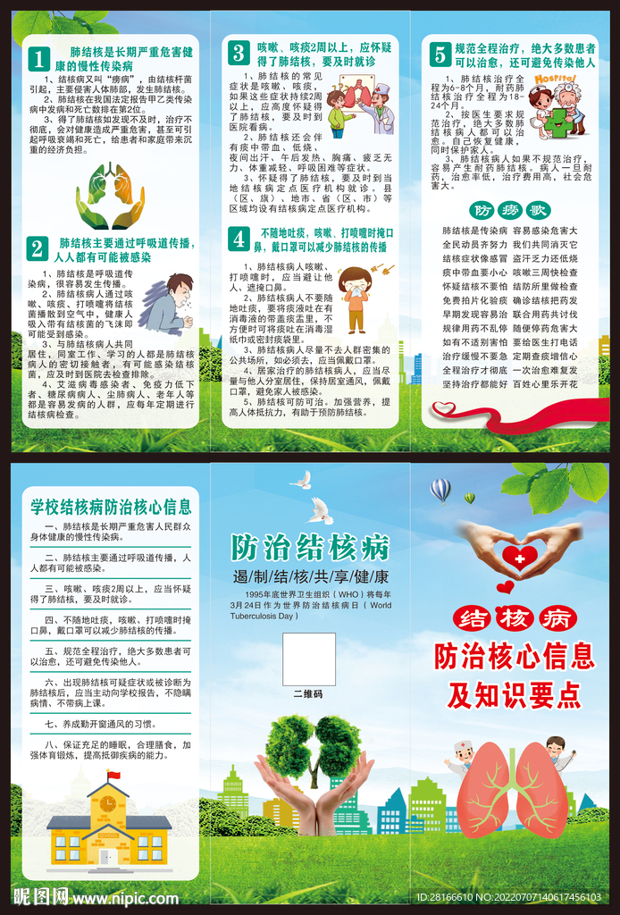 结核病防治核心信息三折页