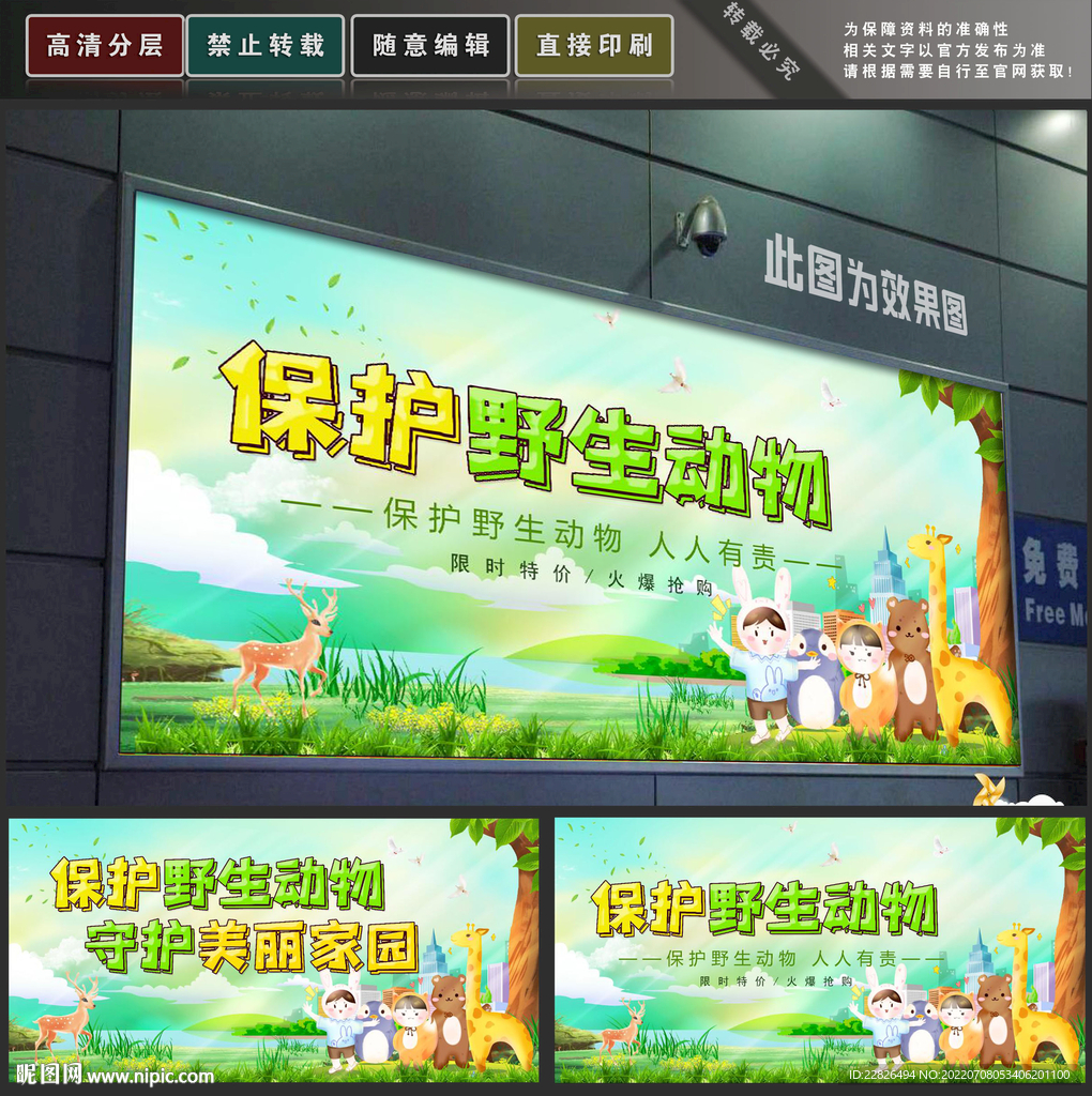 保护野生动物
