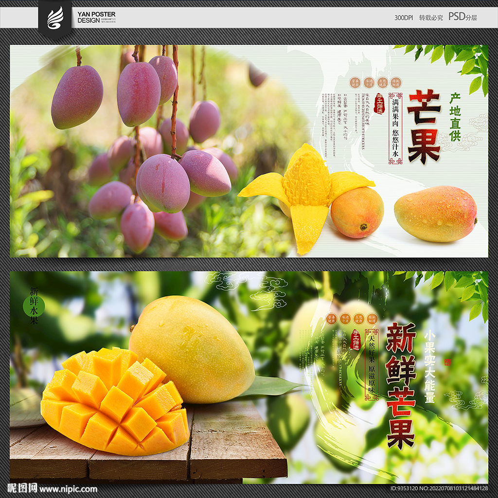 芒果海报