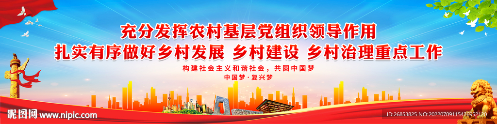 扎实有序做好乡村发展