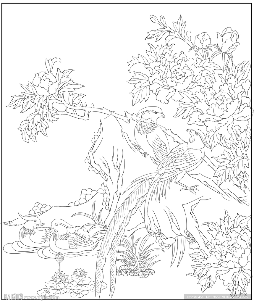 牡丹