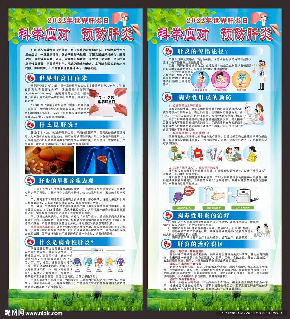 肝炎日展架