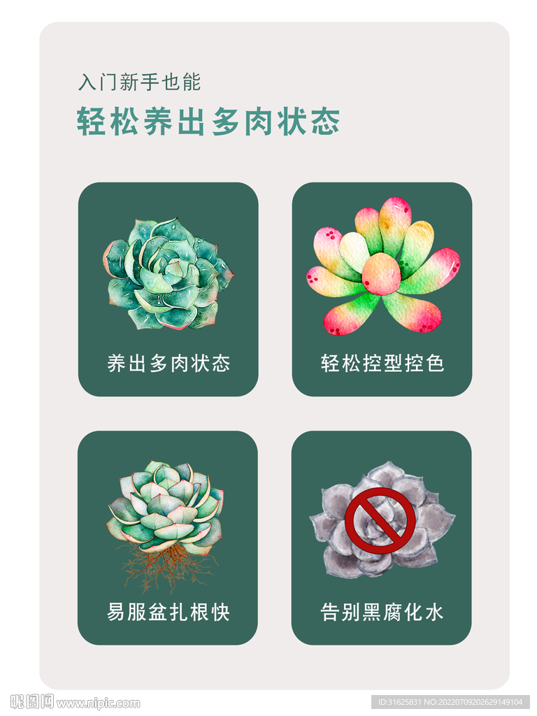 多肉状态
