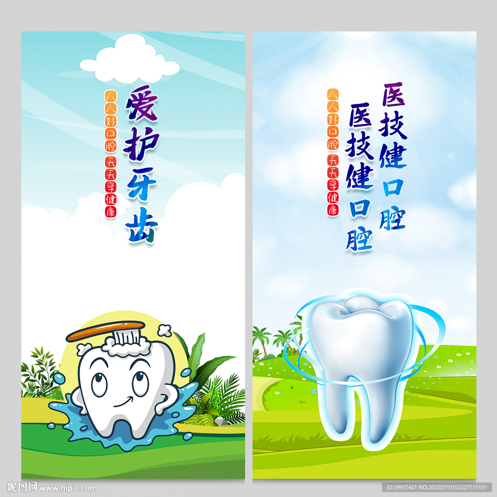 牙齿健康知识